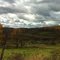 Autumn Country