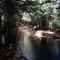 Peaceful stream