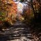 autumn road