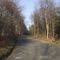 Shaffer mountain road