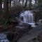 Backwoods falls