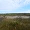 Gallitzen State Forest Bog