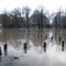 Spring Flooding