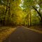 Fall Day on a Quiet Road