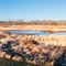 Roselle Park Viewing Platform Panorama I