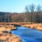 Creek at Roselle Park II