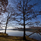 Prince Gallitzin State Park