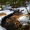 Shore Line Trail - Prince Gallitzan State Park