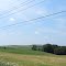 Fields