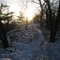 Mid State Trail, Shingletown Gap