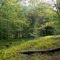 HCWT - On the Rail Grade