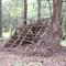 Abandoned Shelter Along Jacks Run