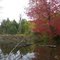 East Hickory and Jacks Run Creeks Converge