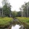 East Hickory Creek
