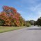 some bright spots of color