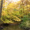 Middle River Rouge in the Autumn, Novi, Michigan