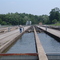 Tylersville State Fish Hatchery in Clinton Co., PA