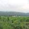 Farms