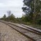 CK&S / GTW / CN Track which last serviced lumber yard looking North