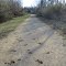 A trail with deer footprints in Cold Brook Park