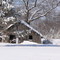 The Shed