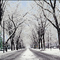 winter lurzerne street in Johnstown