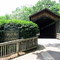 Ada Covered Bridge, Ada, Michigan