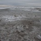 Icy Lake Huron