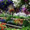 My favorite garden center