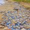 Sanilac Rocks