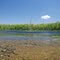 Murphy Lake State Game Area Pond