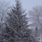 Grand Forks ND, Winter