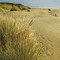 Driftwood Beach, Oregon Coast ...09.23.08*