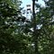 Ball Bluff Lookout Tower