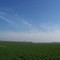Washita River Bottom near Pauls Valley