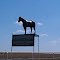 Plastic Horse