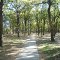 Wood, Texas, USA