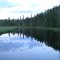 Creek Near Orr, MN