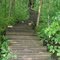 Stairs to Elba Fire Tower