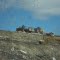 Compactor Machines