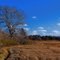 Bright Autumn Day