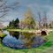 The Frog Pond at Blithewold