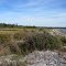 Prudence Island beach, lookin down along beach