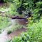 Bend in the Lower Oxbow River