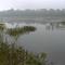 Misty Lake
