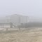 Foggy Morning