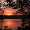 Watchaug Pond Sunrise and Silhouetted Foliage at Burlingame State Park - Rhode Island - USA