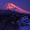 越前岳からの富士