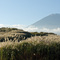 Silver grasslands and Mt. Fuji
