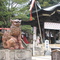 倉敷市児島　由加神社　(備前焼　狛犬)　＠　狛犬や　水子供養の　秋彼岸